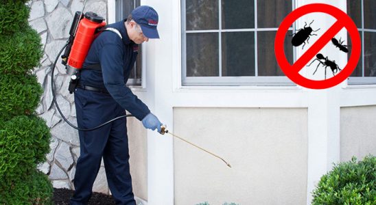 Germiyan Hamam Böceği İlaçlama böcek ilaçlama ve haşere kontrolü — ilaclama-tr.com